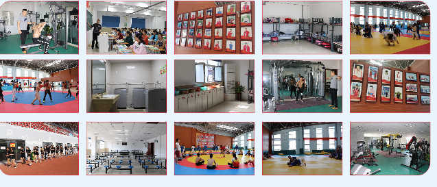 图片51.png